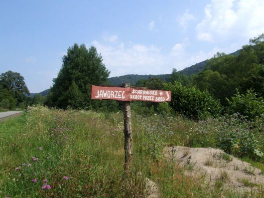 Jaworzec_Luh_Zawoj_2013_Bieszczad_13