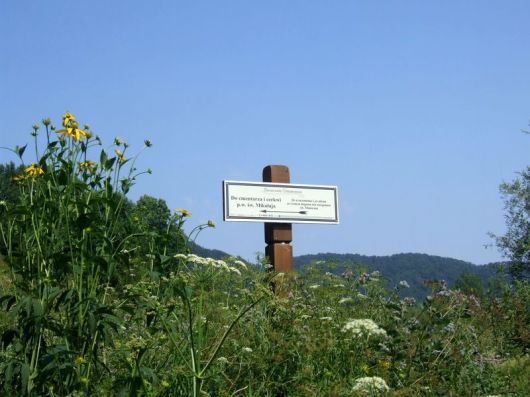 Jaworzec_Luh_Zawoj_2013_Bieszczad_21