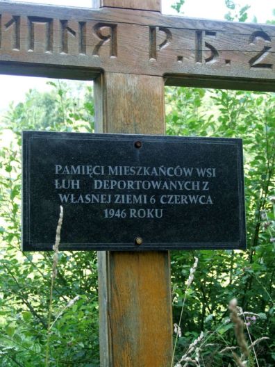 Jaworzec_Luh_Zawoj_2013_Bieszczad_24