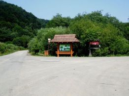 Jaworzec_Luh_Zawoj_2013_Bieszczad_32