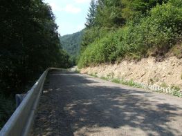 Jaworzec_Luh_Zawoj_2013_Bieszczad_41