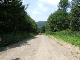 Jaworzec_Luh_Zawoj_2013_Bieszczad_44