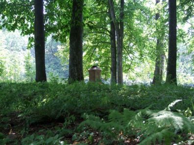 Jaworzec_Luh_Zawoj_2013_Bieszczad_47