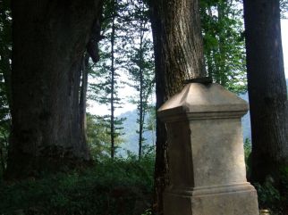 Jaworzec_Luh_Zawoj_2013_Bieszczad_50