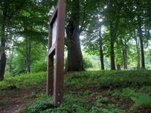Jaworzec_Luh_Zawoj_2013_Bieszczad_55