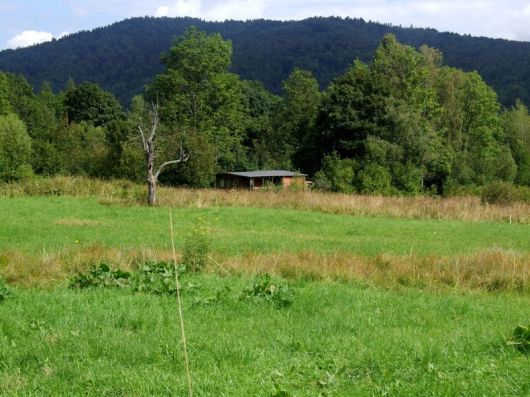 jaslo_zolty_szlak_bieszczady_2016