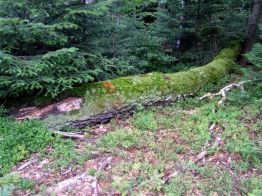 jaslo_zolty_szlak_bieszczady_2016_13