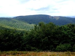 jaslo_zolty_szlak_bieszczady_2016_18