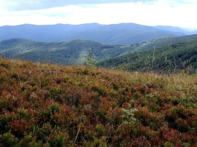 jaslo_zolty_szlak_bieszczady_2016_21