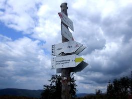 jaslo_zolty_szlak_bieszczady_2016_26