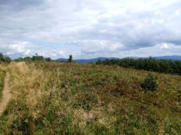 jaslo_zolty_szlak_bieszczady_2016_40