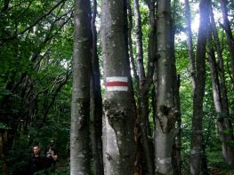 jaslo_zolty_szlak_bieszczady_2016_48
