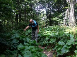 jaslo_zolty_szlak_bieszczady_2016_49