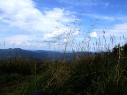 jaslo_zolty_szlak_bieszczady_2016_60