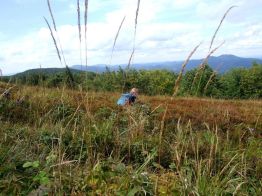 jaslo_zolty_szlak_bieszczady_2016_61