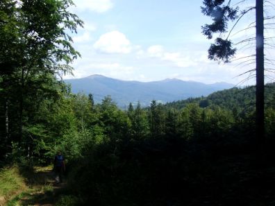 jaslo_zolty_szlak_bieszczady_2016_66
