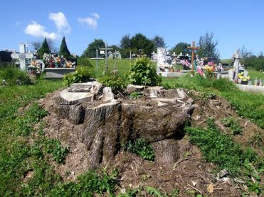 terka_2016_17