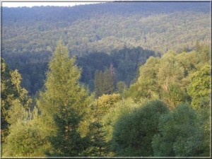 image-67