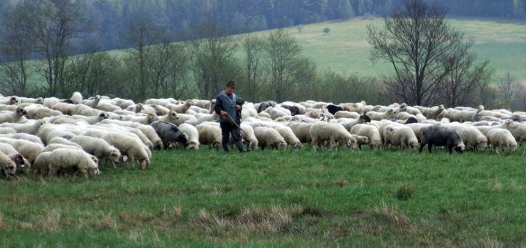 Bieszczady_2011_start