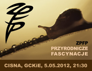 Pokaz fotografii przyrodniczej w Cisnej