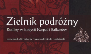 zielnik_podrozny_1