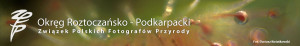 zpfp_bieszczady