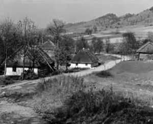spacer_w_bieszczadach1