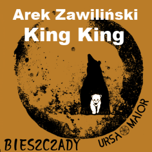 Arek Zawiliński i King King na inaugurację Ursa Maior Hall