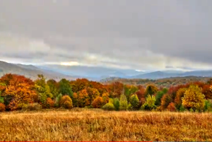 image-10473 Bieszczady jesienią – Kolorowe szlaki