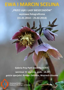 Przez łąki i lasy Bieszczadów