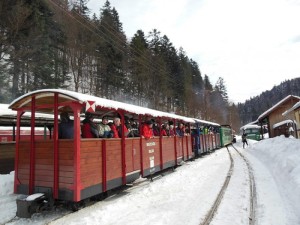 Zima 2014 z Bieszczadzką Kolejką Leśną