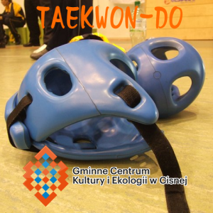 taekwon-do_cisna