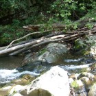 nasiczne_kaskady_2012_11