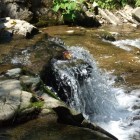 nasiczne_kaskady_2012_23