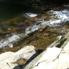 nasiczne_kaskady_2012_38