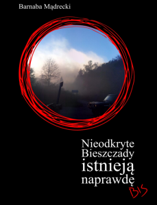 image-11399