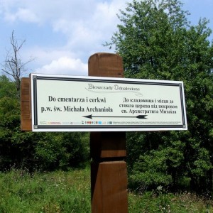 image-11655