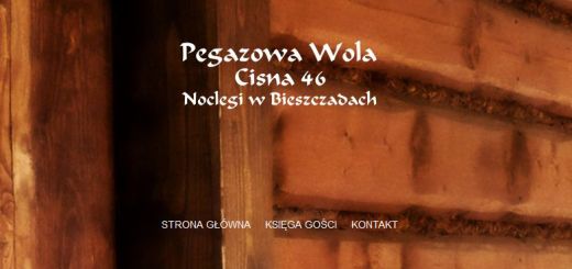 pegazowa_wola_bieszczady_www1