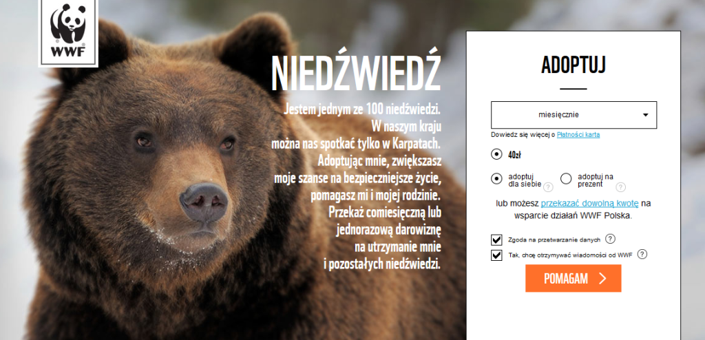 wwf_zaadoptuj_niedzwiedzia_1