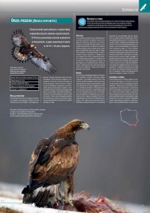 encyklopedia_ptakow_2015_3