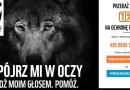 1% dla WWF Polska