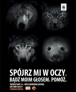 wwf_plakat_czarny-jeden_proc