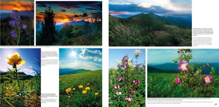 Maciej_Grzegorzek-Bieszczady_i_moja_pasja_3