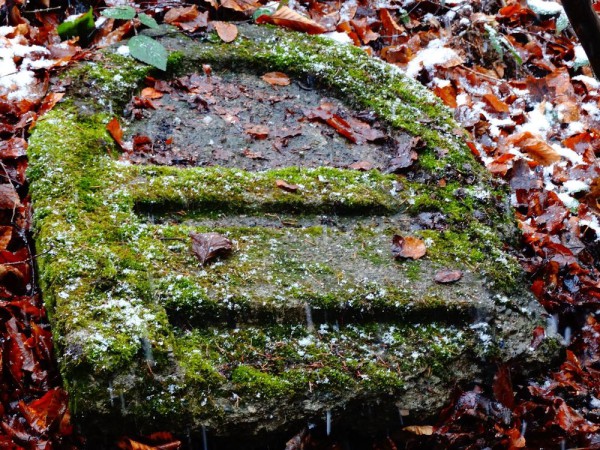 Stowarzyszenie_Natchnieni_Bieszczadem_macewa