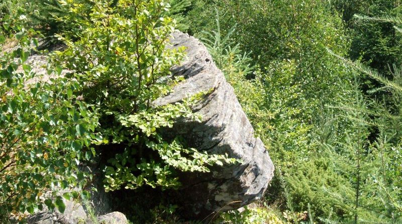 Dwernik_Kamien_2013_43