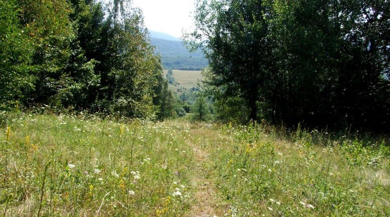 Ruske_2013_Slowacja_84