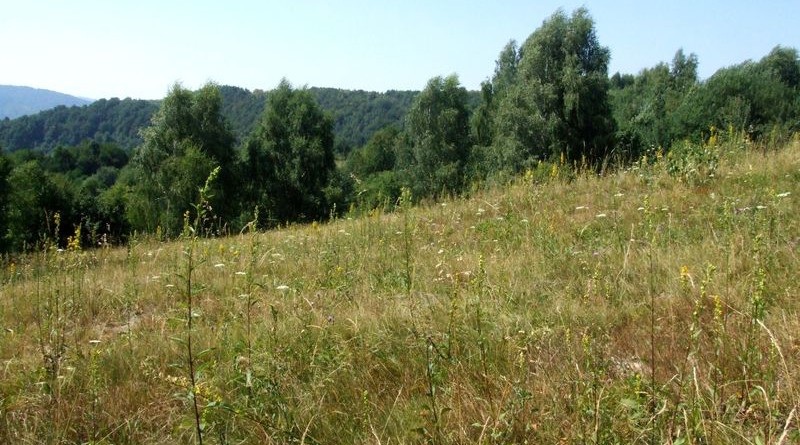 Ruske_2013_Slowacja_85