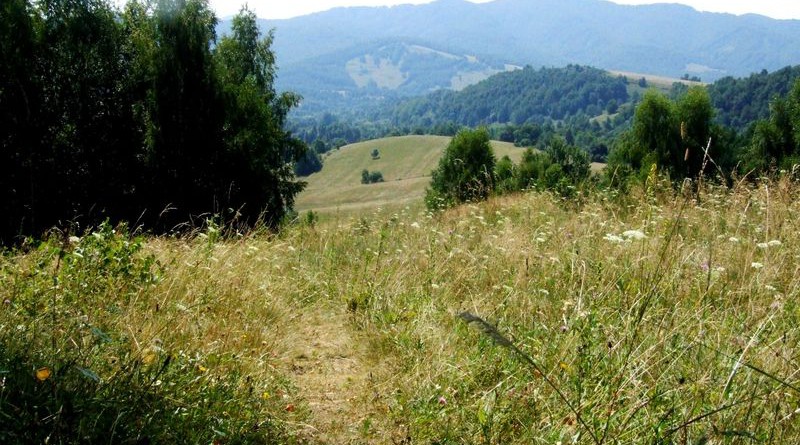 Ruske_2013_Slowacja_87