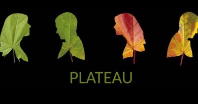 Plateau_2016_w_zwiazku_z_toba_2016