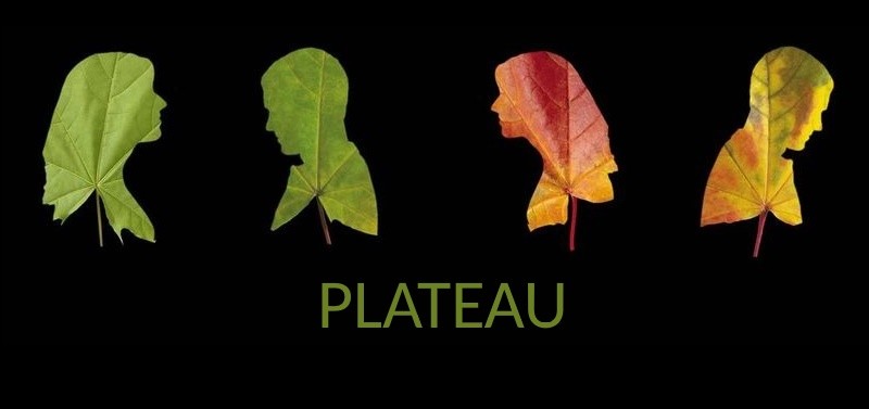Plateau_2016_w_zwiazku_z_toba_2016